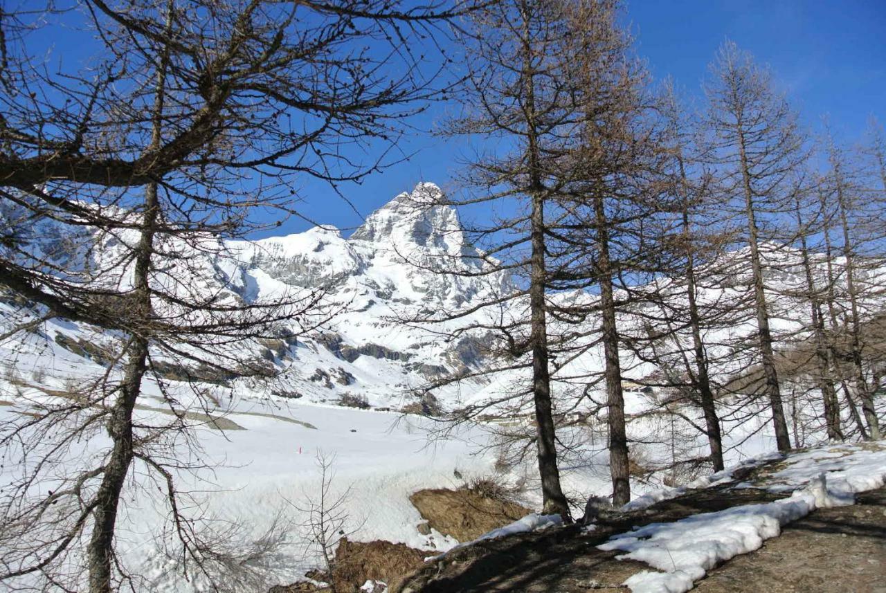 President Palace - Breuil Cervinia -Appartamento 6 - Cir 0634 Luaran gambar